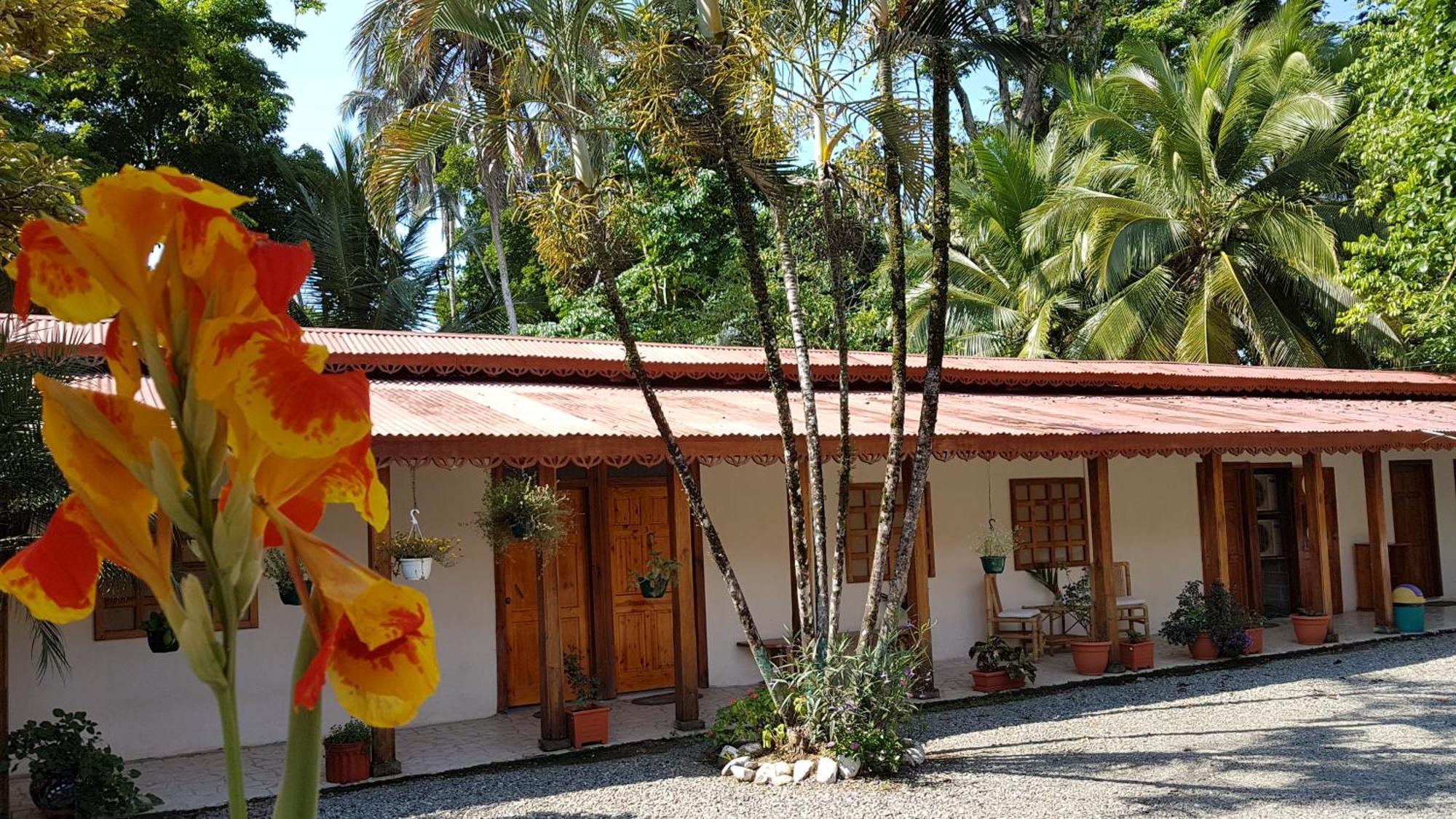 Yucca Beachfront Hotel Puerto Viejo de Talamanca Exterior foto