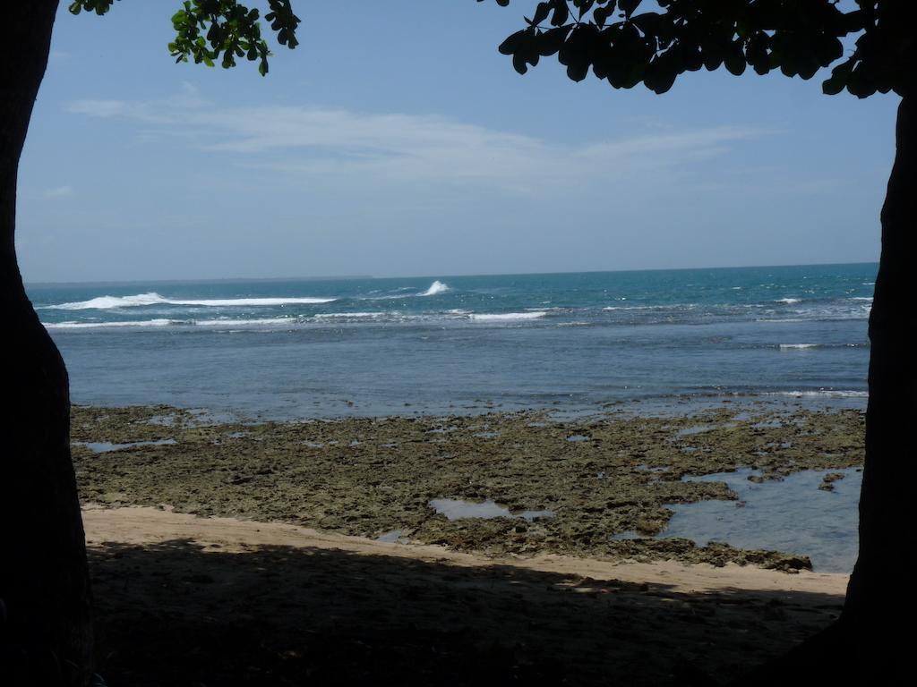 Yucca Beachfront Hotel Puerto Viejo de Talamanca Exterior foto